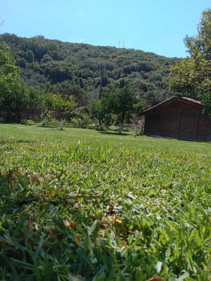 The Lake House" -Trichonida Lake Marathias (Aetolia-Acarnania) Exterior foto