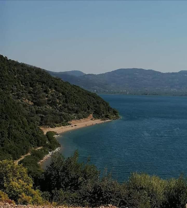 The Lake House" -Trichonida Lake Marathias (Aetolia-Acarnania) Exterior foto