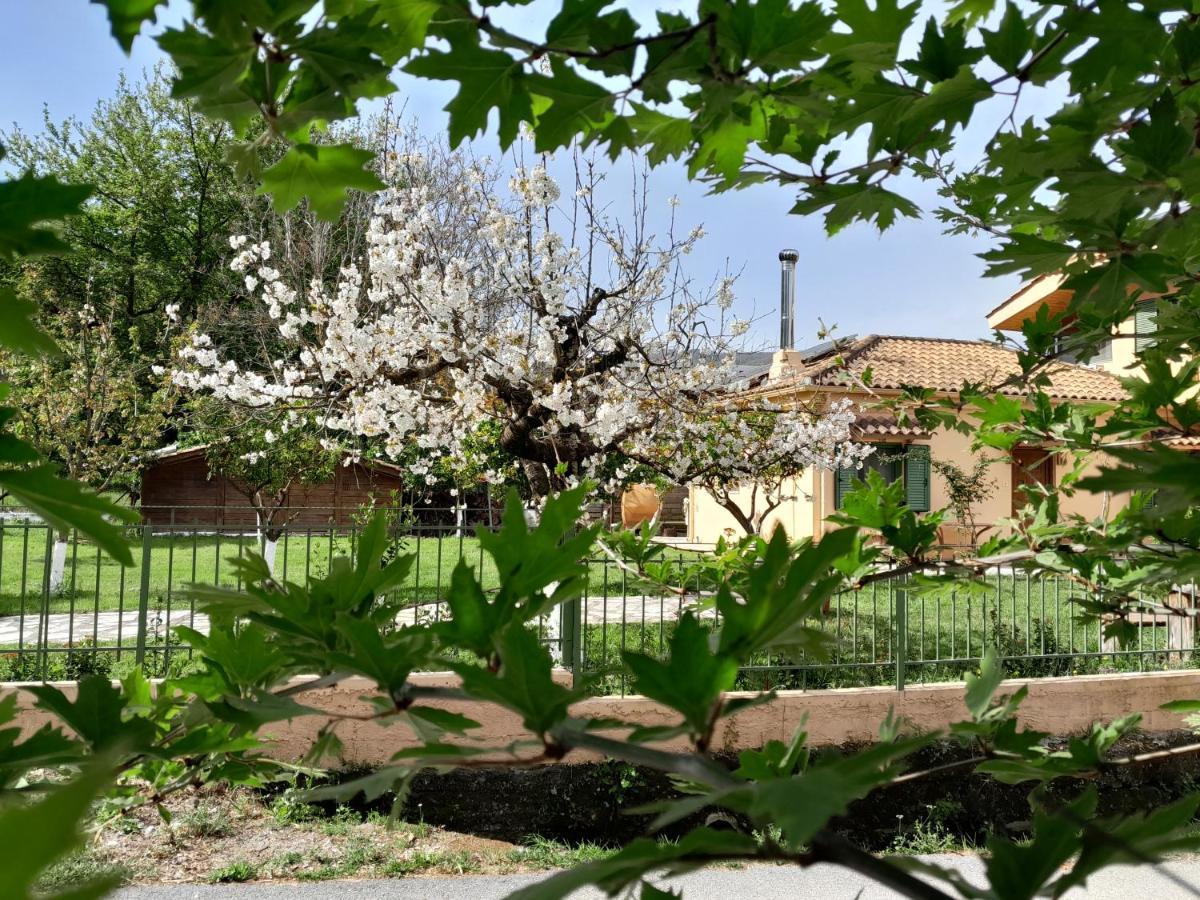 The Lake House" -Trichonida Lake Marathias (Aetolia-Acarnania) Exterior foto