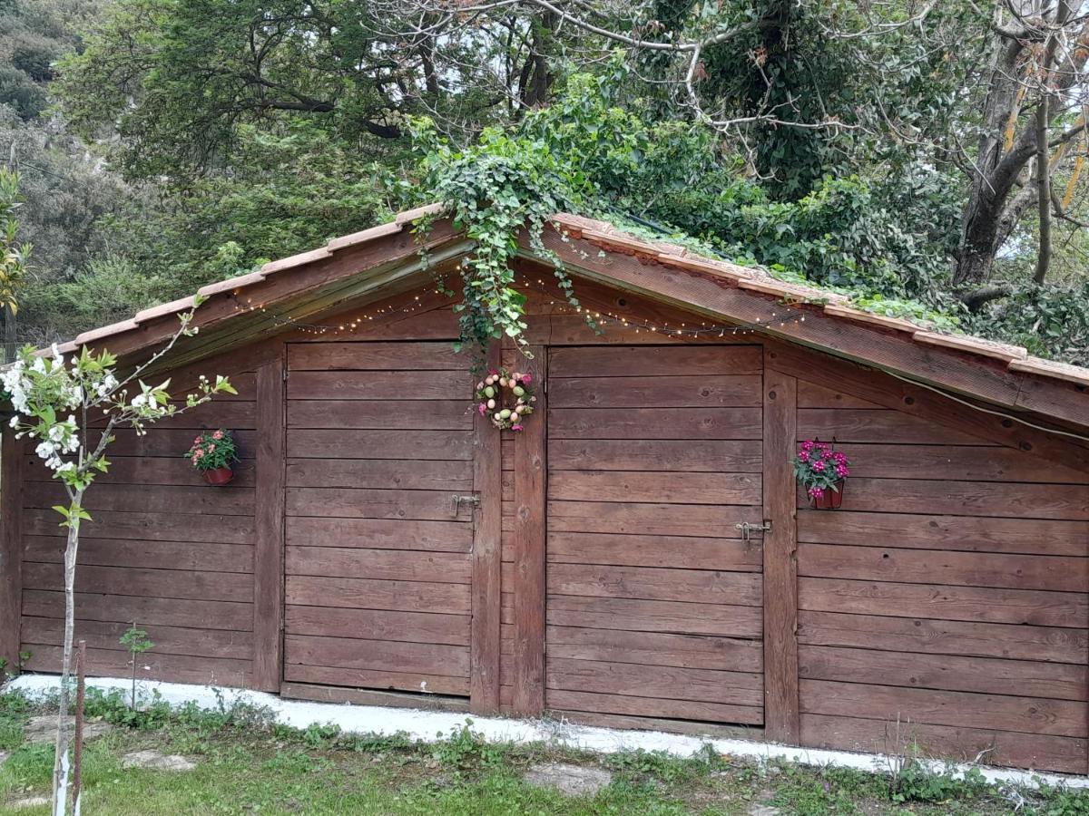 The Lake House" -Trichonida Lake Marathias (Aetolia-Acarnania) Exterior foto